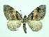 ( - DH006224)  @14 [ ] CreativeCommons - Attribution (2010) Unspecified Centre for Biodiversity Genomics