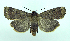  ( - DH008023)  @13 [ ] CreativeCommons - Attribution (2010) Unspecified Centre for Biodiversity Genomics