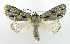  ( - AC000896)  @14 [ ] CreativeCommons - Attribution (2010) Unspecified Centre for Biodiversity Genomics
