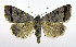  ( - DH010048)  @14 [ ] CreativeCommons - Attribution (2010) Unspecified Centre for Biodiversity Genomics