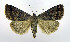  ( - DH010051)  @14 [ ] CreativeCommons - Attribution (2010) Unspecified Centre for Biodiversity Genomics