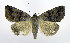  ( - DH010054)  @14 [ ] CreativeCommons - Attribution (2010) Unspecified Centre for Biodiversity Genomics