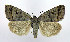  ( - DH010059)  @14 [ ] CreativeCommons - Attribution (2010) Unspecified Centre for Biodiversity Genomics
