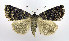  ( - DH010063)  @14 [ ] CreativeCommons - Attribution (2010) Unspecified Centre for Biodiversity Genomics