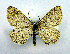  ( - DH010078)  @14 [ ] CreativeCommons - Attribution (2010) Unspecified Centre for Biodiversity Genomics