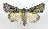  ( - DH002106)  @14 [ ] CreativeCommons - Attribution (2010) Unspecified Centre for Biodiversity Genomics