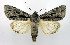  ( - DH002240)  @14 [ ] CreativeCommons - Attribution (2010) Unspecified Centre for Biodiversity Genomics