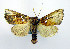 ( - DH002385)  @14 [ ] CreativeCommons - Attribution (2010) Unspecified Centre for Biodiversity Genomics