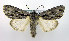  ( - DH004659)  @14 [ ] CreativeCommons - Attribution (2010) Unspecified Centre for Biodiversity Genomics