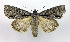  ( - DH005214)  @14 [ ] CreativeCommons - Attribution (2010) Unspecified Centre for Biodiversity Genomics