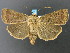  ( - DH007396)  @13 [ ] CreativeCommons - Attribution (2010) Unspecified Centre for Biodiversity Genomics