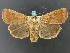  ( - DH007395)  @13 [ ] CreativeCommons - Attribution (2010) Unspecified Centre for Biodiversity Genomics