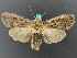  ( - DH002857)  @14 [ ] CreativeCommons - Attribution (2010) Unspecified Centre for Biodiversity Genomics