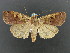  ( - DH007297)  @14 [ ] CreativeCommons - Attribution (2010) Unspecified Centre for Biodiversity Genomics