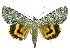  ( - DH010547)  @13 [ ] CreativeCommons - Attribution (2010) Unspecified Centre for Biodiversity Genomics