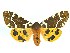  ( - DH010674)  @14 [ ] CreativeCommons - Attribution (2010) Unspecified Centre for Biodiversity Genomics