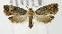 ( - MDH005654)  @13 [ ] Unspecified (default): All Rights Reserved  Unspecified Unspecified