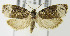  ( - MDH003022)  @13 [ ] Unspecified (default): All Rights Reserved  Unspecified Unspecified