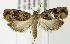  ( - MDH004097)  @14 [ ] Unspecified (default): All Rights Reserved  Unspecified Unspecified