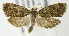  ( - MDH005585)  @13 [ ] Unspecified (default): All Rights Reserved  Unspecified Unspecified