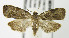 ( - MDH005302)  @14 [ ] Unspecified (default): All Rights Reserved  Unspecified Unspecified