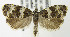  ( - MDH003788)  @13 [ ] Unspecified (default): All Rights Reserved  Unspecified Unspecified