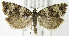  ( - MDH005712)  @14 [ ] Unspecified (default): All Rights Reserved  Unspecified Unspecified
