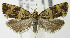  ( - MDH007255)  @14 [ ] Unspecified (default): All Rights Reserved  Unspecified Unspecified