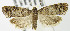  ( - MDH004216)  @14 [ ] Unspecified (default): All Rights Reserved  Unspecified Unspecified