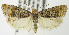  ( - MDH004189)  @13 [ ] Unspecified (default): All Rights Reserved  Unspecified Unspecified