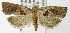  ( - MDH006121)  @13 [ ] Unspecified (default): All Rights Reserved  Unspecified Unspecified