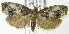  ( - MDH007265)  @15 [ ] Unspecified (default): All Rights Reserved  Unspecified Unspecified