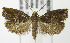  ( - MDH007608)  @14 [ ] Unspecified (default): All Rights Reserved  Unspecified Unspecified