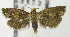  ( - MDH007060)  @13 [ ] Unspecified (default): All Rights Reserved  Unspecified Unspecified