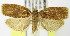  ( - MDH005272)  @14 [ ] Unspecified (default): All Rights Reserved  Unspecified Unspecified