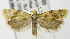  ( - MDH003703)  @13 [ ] Unspecified (default): All Rights Reserved  Unspecified Unspecified