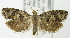  ( - MDH005713)  @14 [ ] Unspecified (default): All Rights Reserved  Unspecified Unspecified