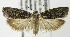  ( - MDH004403)  @15 [ ] Unspecified (default): All Rights Reserved  Unspecified Unspecified