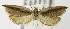  ( - MDH004592)  @12 [ ] Unspecified (default): All Rights Reserved  Unspecified Unspecified