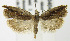  ( - MDH004043)  @12 [ ] Unspecified (default): All Rights Reserved  Unspecified Unspecified