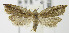  ( - MDH007220)  @13 [ ] Unspecified (default): All Rights Reserved  Unspecified Unspecified