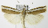  ( - MDH006486)  @13 [ ] Unspecified (default): All Rights Reserved  Unspecified Unspecified