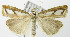  ( - MDH005201)  @14 [ ] Unspecified (default): All Rights Reserved  Unspecified Unspecified