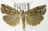  ( - MDH007207)  @14 [ ] Unspecified (default): All Rights Reserved  Unspecified Unspecified