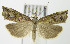  ( - MDH007210)  @14 [ ] Unspecified (default): All Rights Reserved  Unspecified Unspecified
