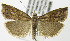  (Neodactria murellus CS - MDH007206)  @14 [ ] Unspecified (default): All Rights Reserved  Unspecified Unspecified