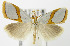  ( - MDH004776)  @14 [ ] Unspecified (default): All Rights Reserved  Unspecified Unspecified
