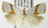  ( - MDH006259)  @13 [ ] Unspecified (default): All Rights Reserved  Unspecified Unspecified