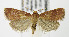  ( - MDH006484)  @14 [ ] Unspecified (default): All Rights Reserved  Unspecified Unspecified
