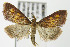  ( - MDH007029)  @14 [ ] Unspecified (default): All Rights Reserved  Unspecified Unspecified